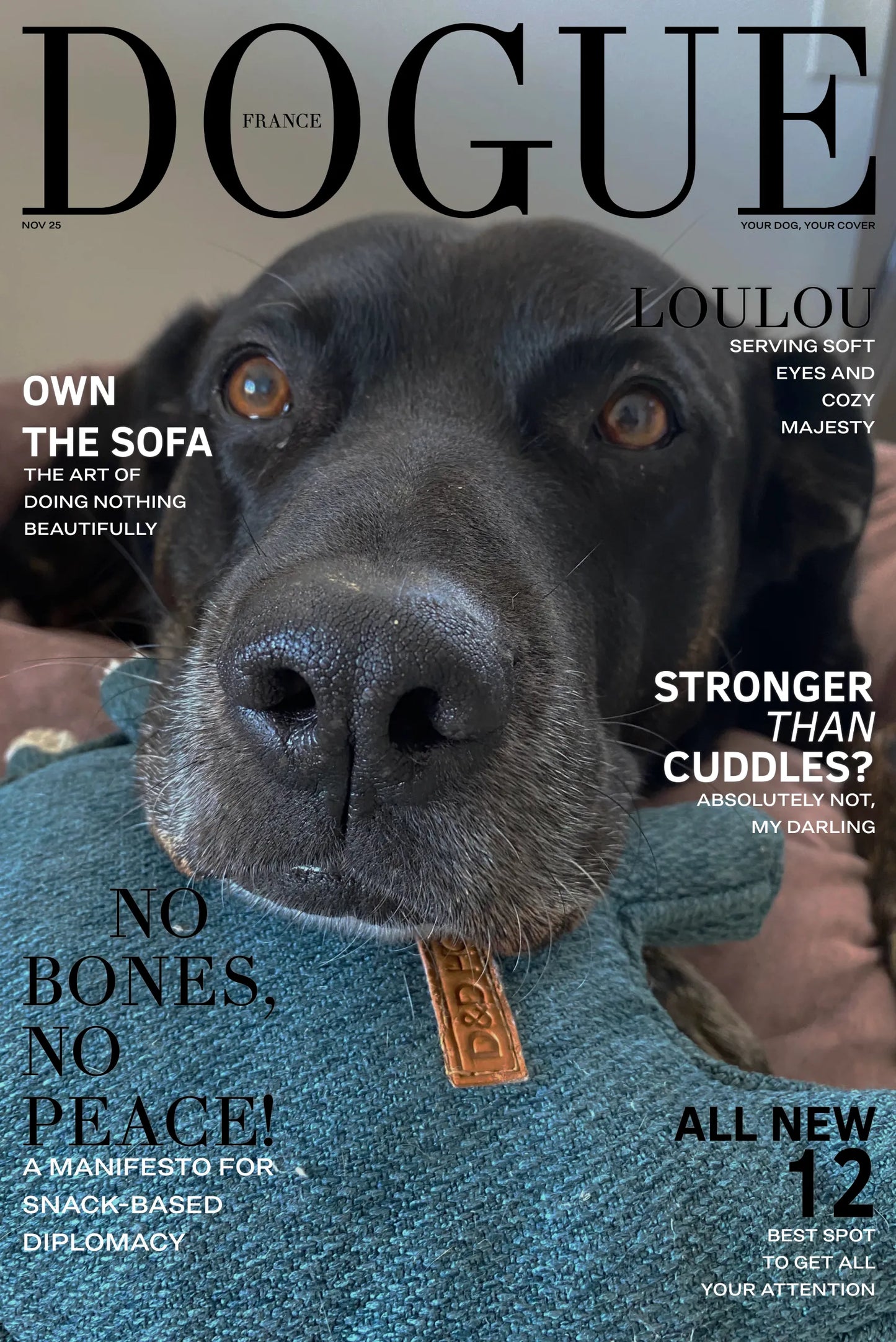 Instant Cover Dog