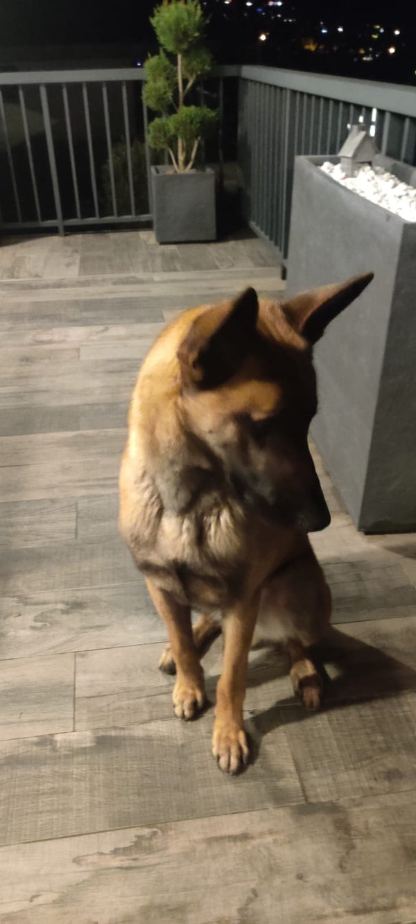 Photo example to avoid