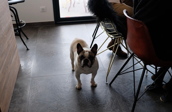 Photo example to avoid