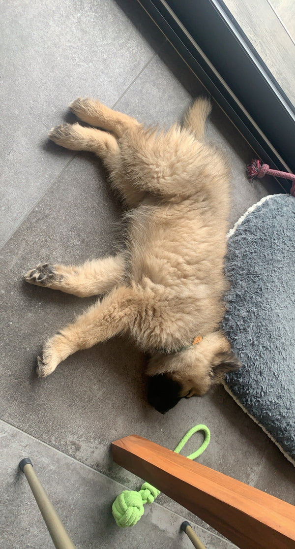 Photo example to avoid