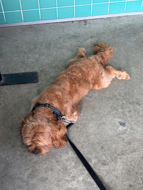 Photo example to avoid