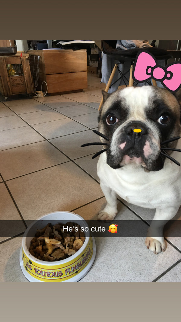 Photo example to avoid