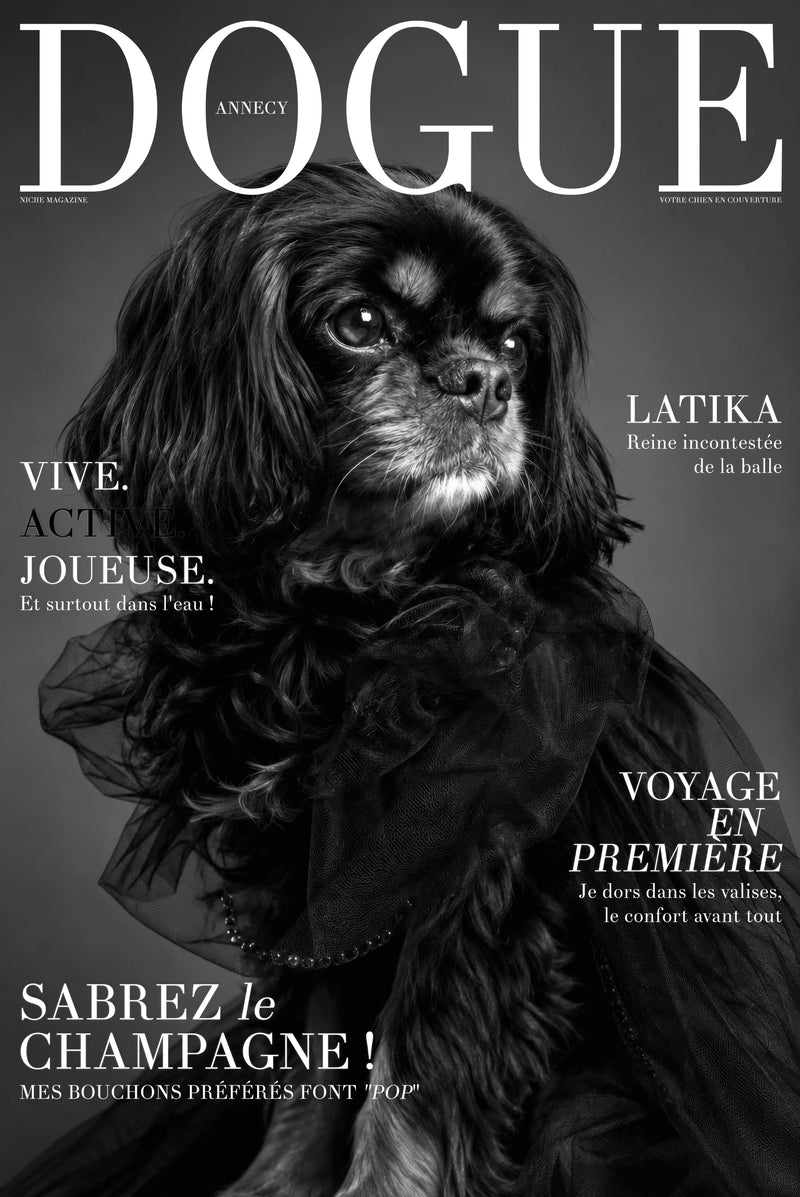 Studio Cover Dog example 4