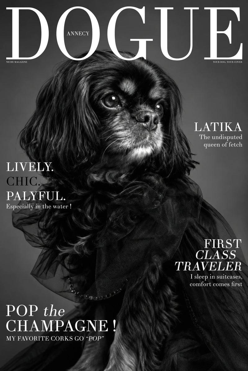 Studio Cover Dog example 4