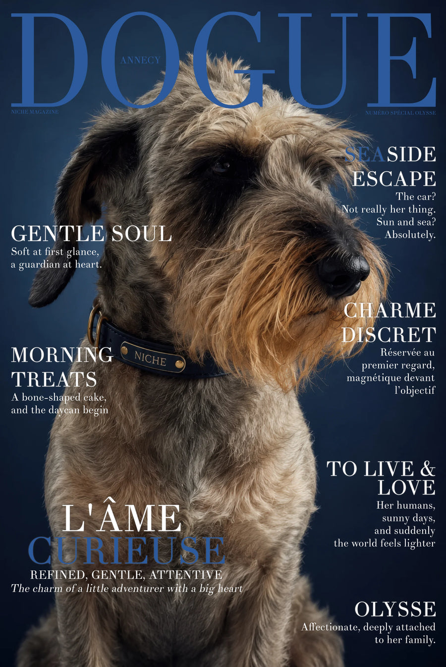 NICHE personalized magazine cover featuring Olysse, a curly-haired dog wearing a NICHE collar, on a navy editorial cover.