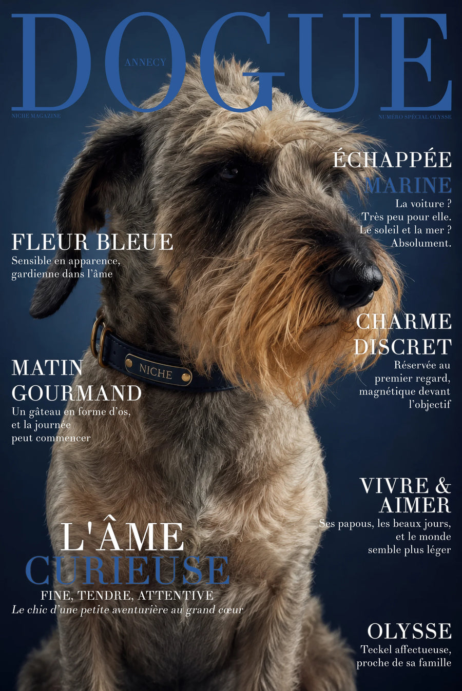 Affiche personnalisée NICHE avec Olysse, chien à poil bouclé portant un collier NICHE, sur une couverture éditoriale bleu marine.