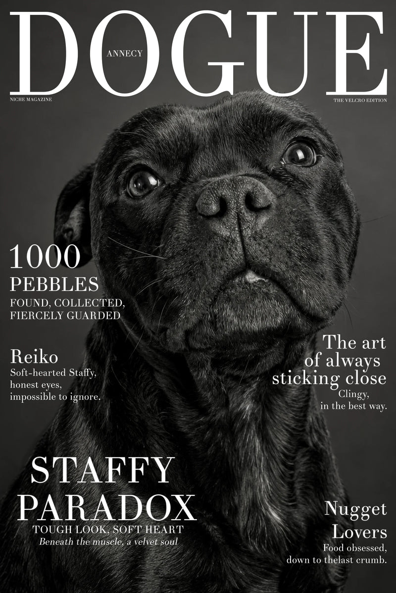 Studio Cover Dog example 2