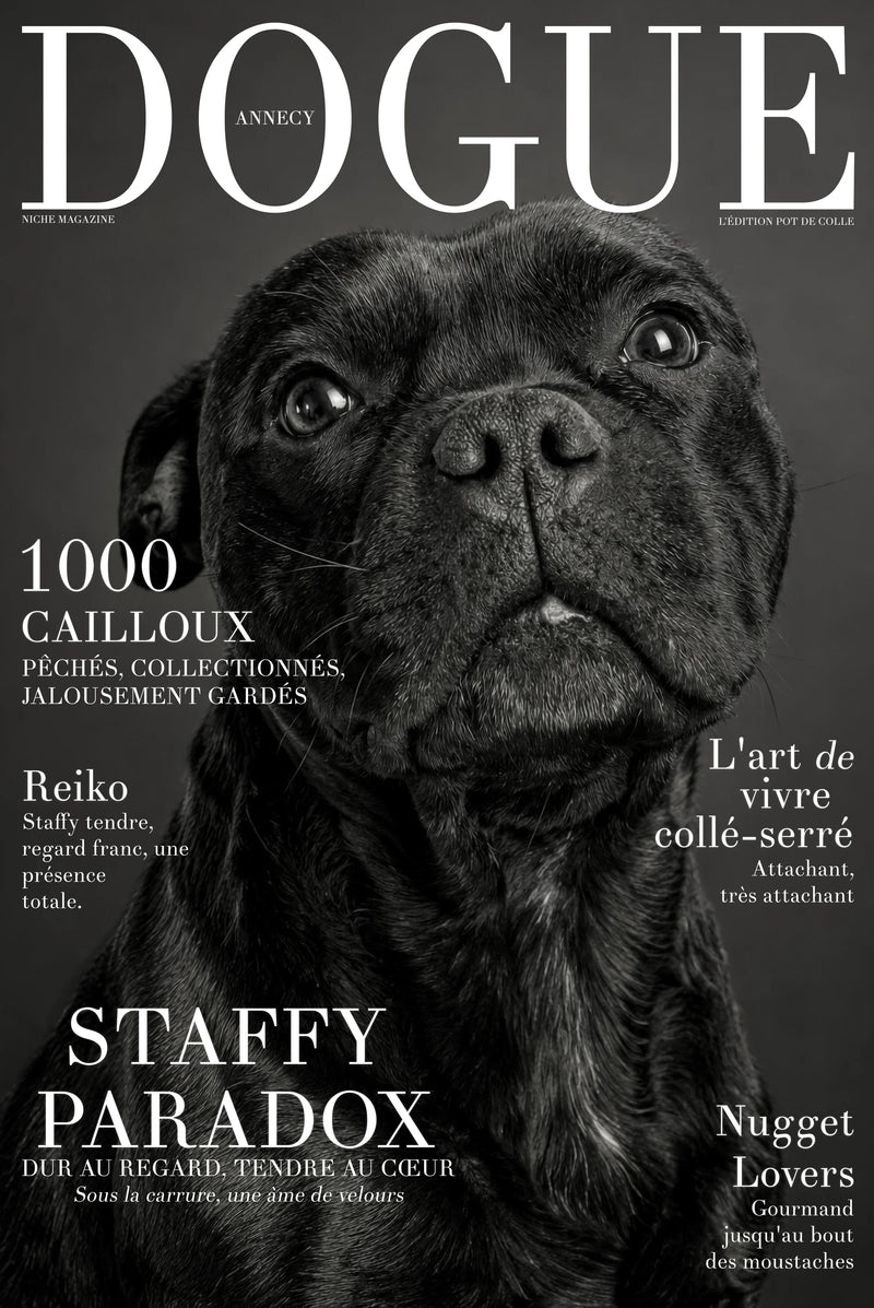 Studio Cover Dog example 2