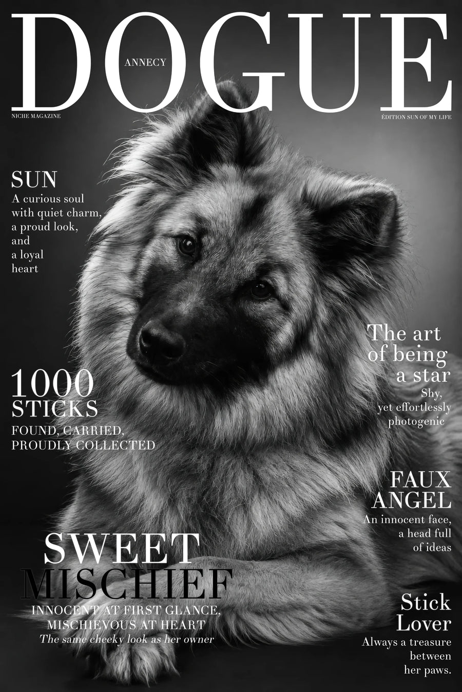 NICHE personalized magazine cover featuring Sun, a long-haired dog with a gentle expression, in a black-and-white editorial portrait.