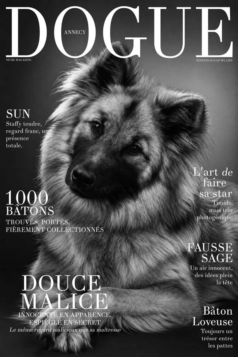 Studio Cover Dog example 5