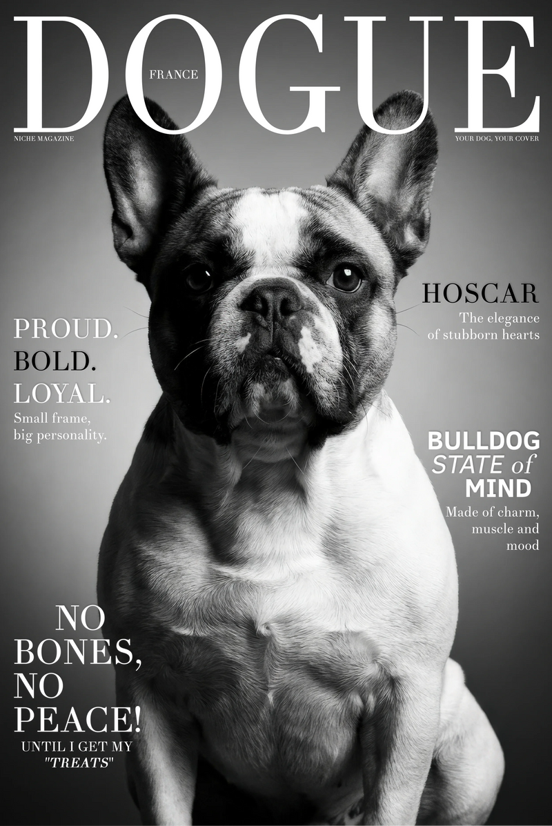 Studio Cover Dog example 1