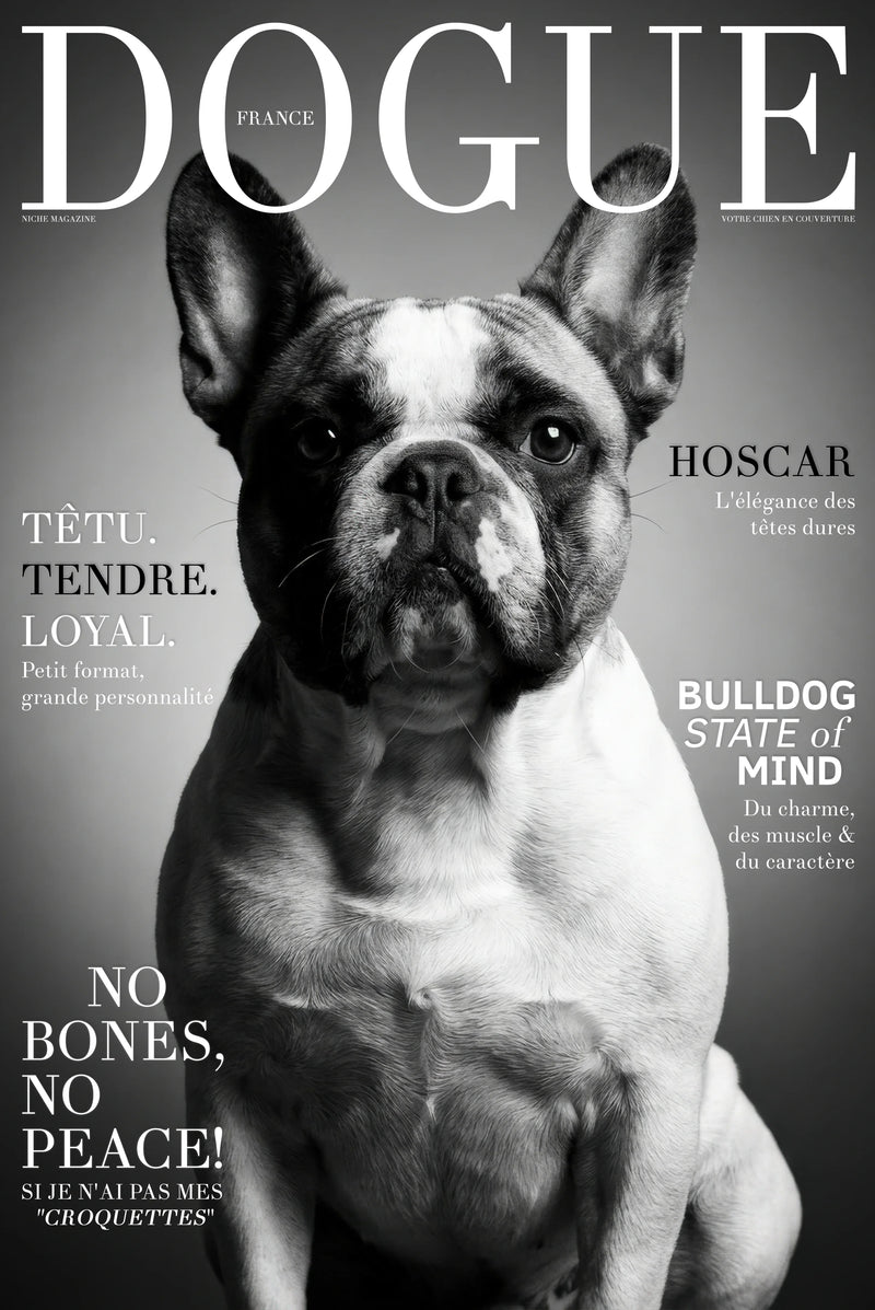 Studio Cover Dog example 1