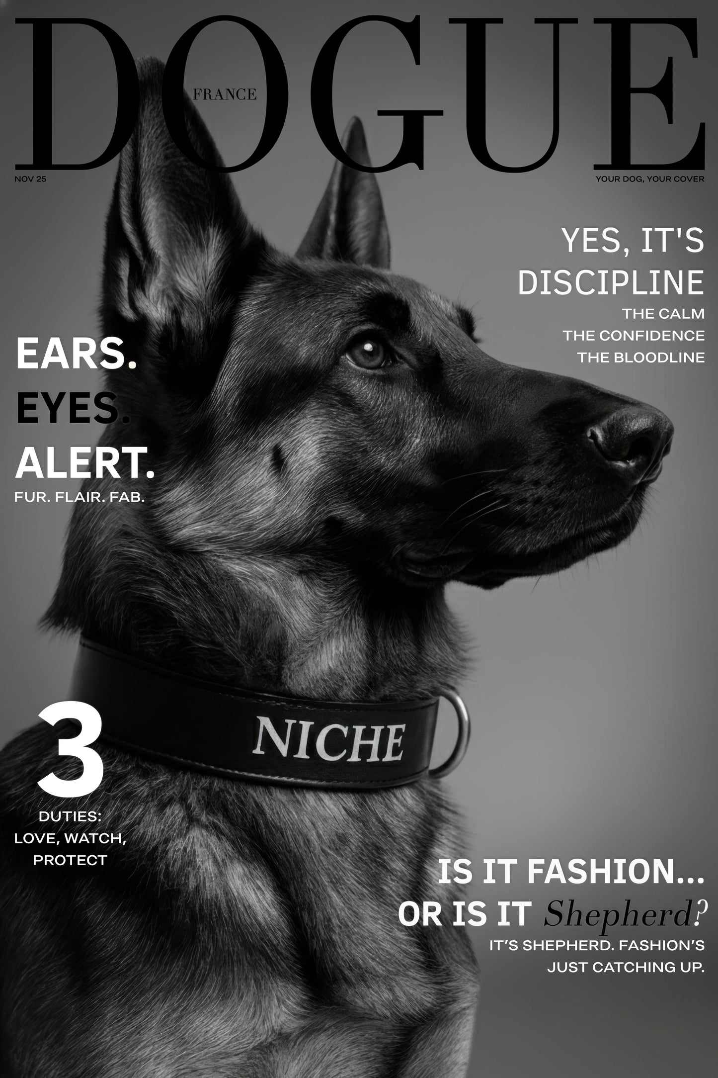 Magazine cover featuring a German Shepherd with text about discipline, confidence, and fashion.