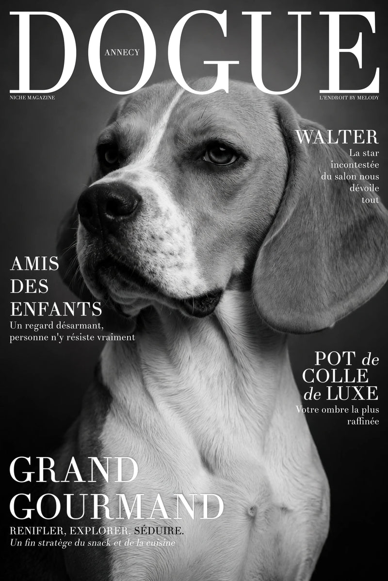 Studio Cover Dog example 3
