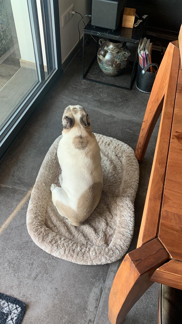 Photo example to avoid